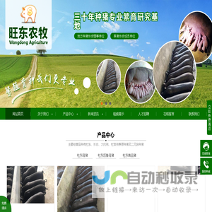 杜东猪_杜东黑母猪_广西母猪养殖场_南宁市旺东农牧有限责任公司