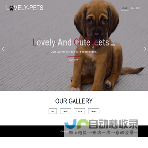 小周的宠物乐园